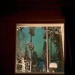 Lumi Hill - Northern Lights