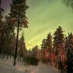 Lumi Hill - Northern Lights Villa *