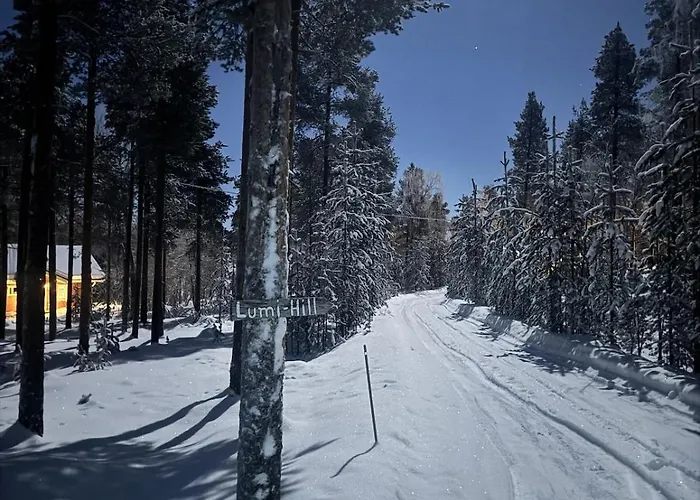 Lumi Hill - Northern Lights Villa Inari