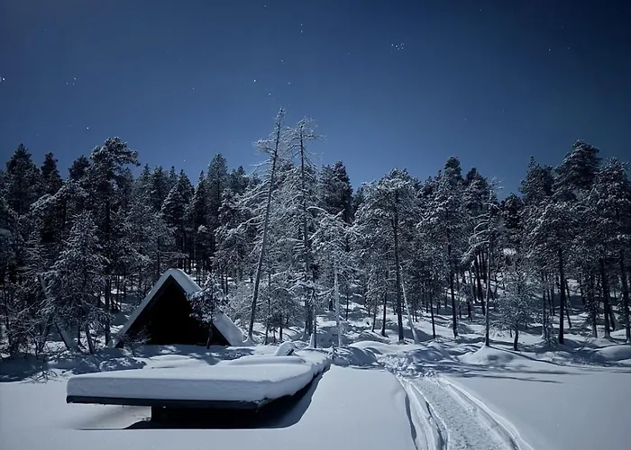 Lumi Hill - Northern Lights Villa *