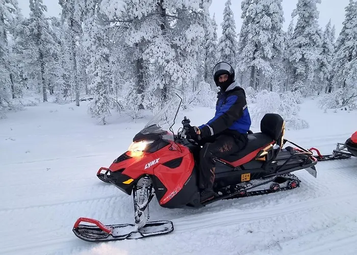 Lumi Hill - Northern Lights Villa *