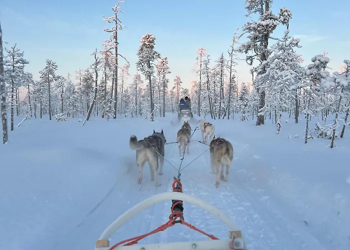 Villa Lumi Hill - Northern Lights Inari